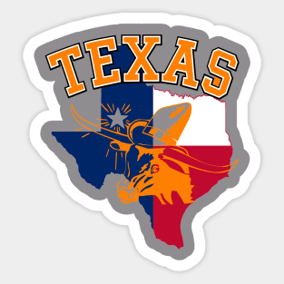 Texas Sticker